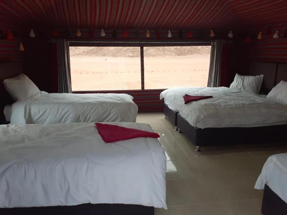 Black Irish Camp And Tours Wadi Rum Eksteriør bilde