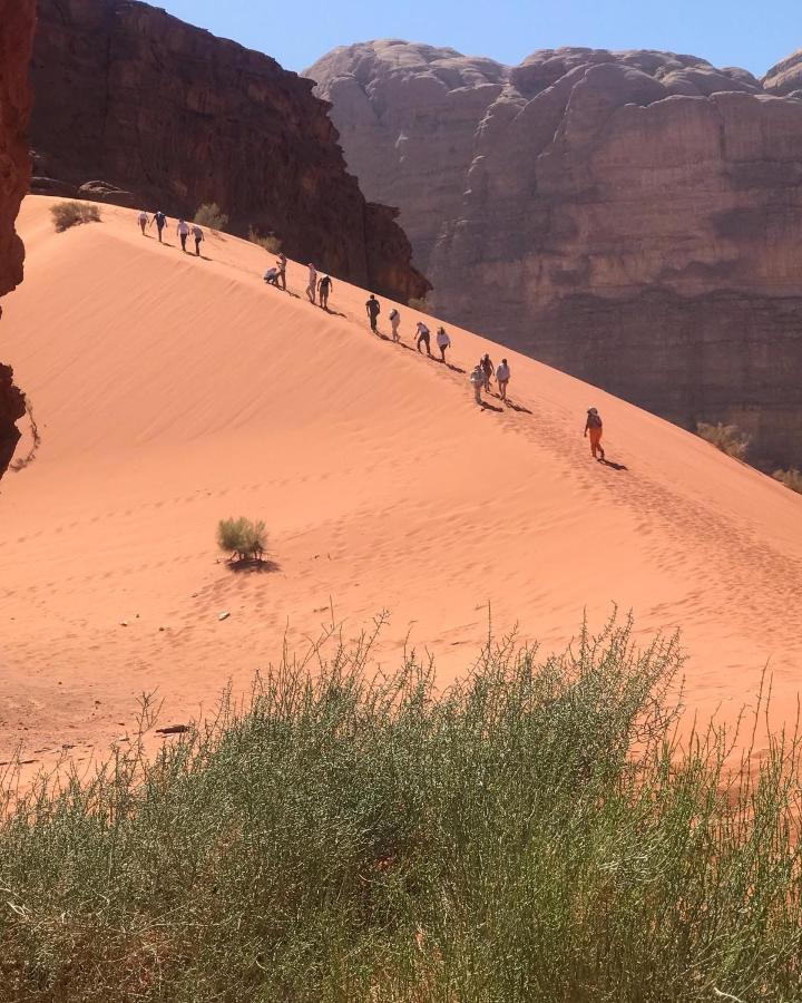 Black Irish Camp And Tours Hotell Wadi Rum Eksteriør bilde