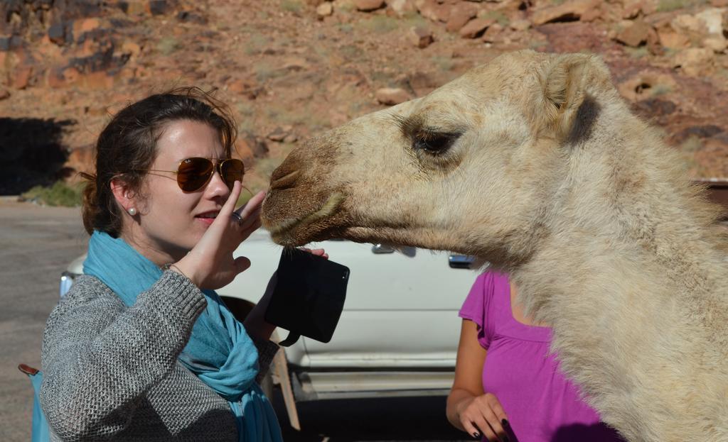 Black Irish Camp And Tours Hotell Wadi Rum Eksteriør bilde